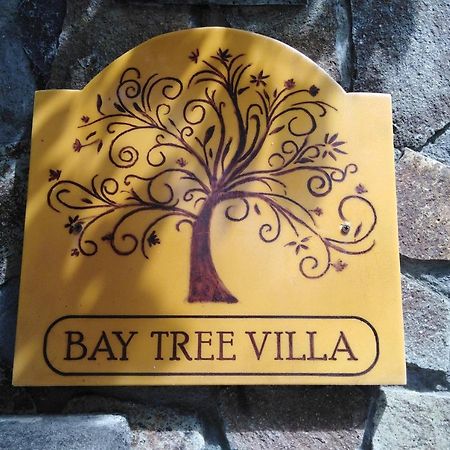 Bay Tree Villa Port Elizabeth Buitenkant foto