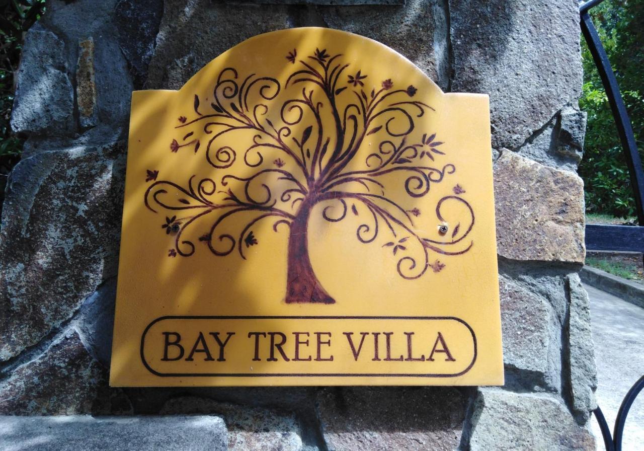 Bay Tree Villa Port Elizabeth Buitenkant foto